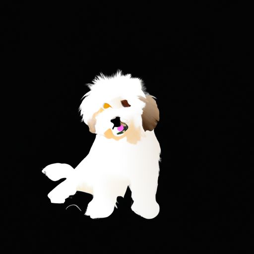 白色背景黑颜色的漫画狗狗图片（白色背景黑颜色的漫画狗狗图片大全）