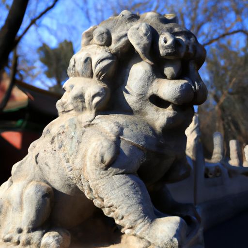 北京松狮（北京松狮犬图片及价格）
